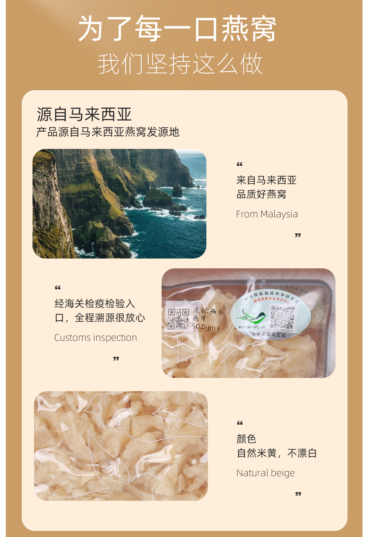 燕耳_06.jpg