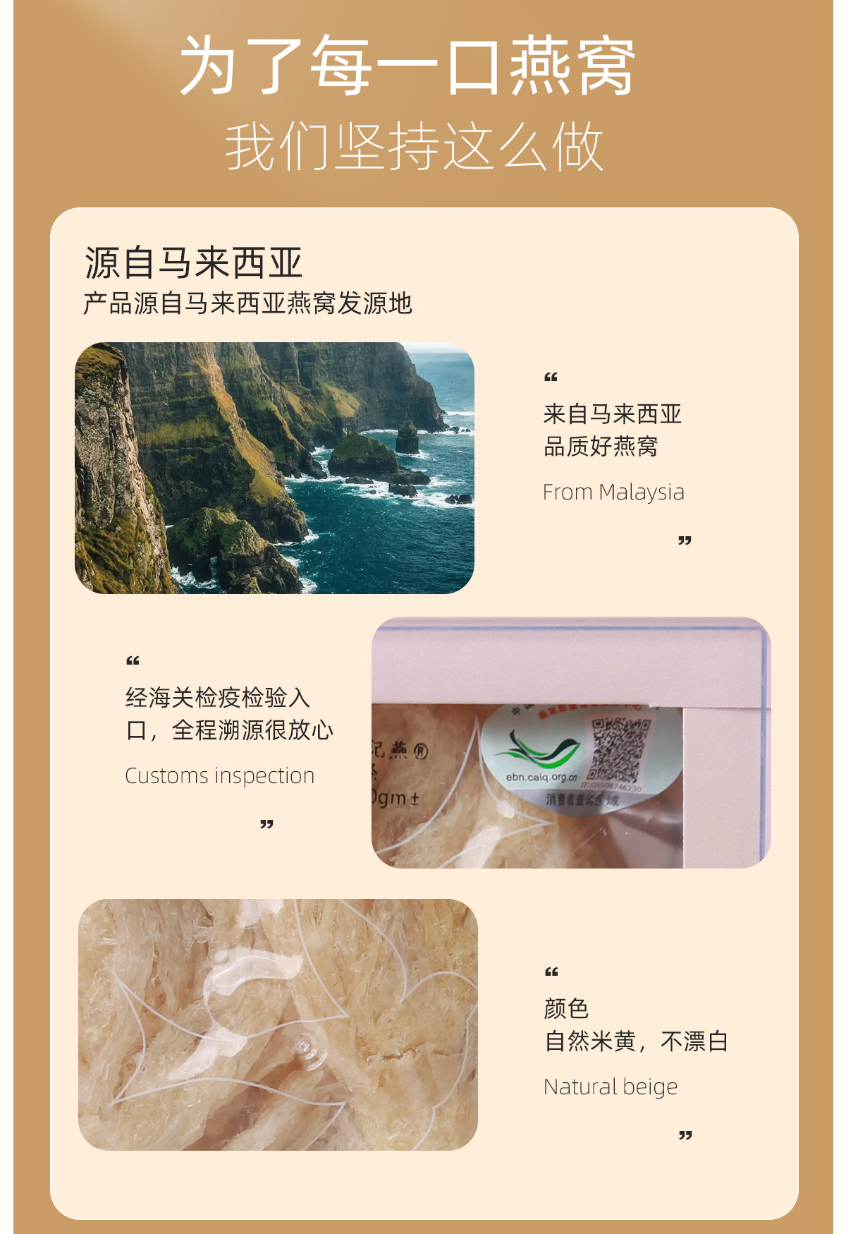 燕条_06.jpg