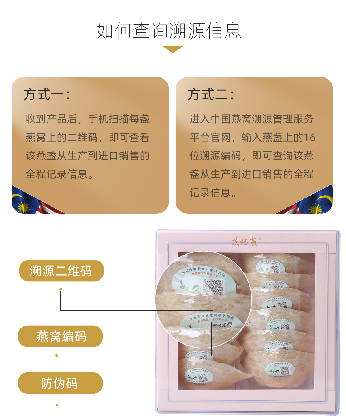 燕盏_04.jpg