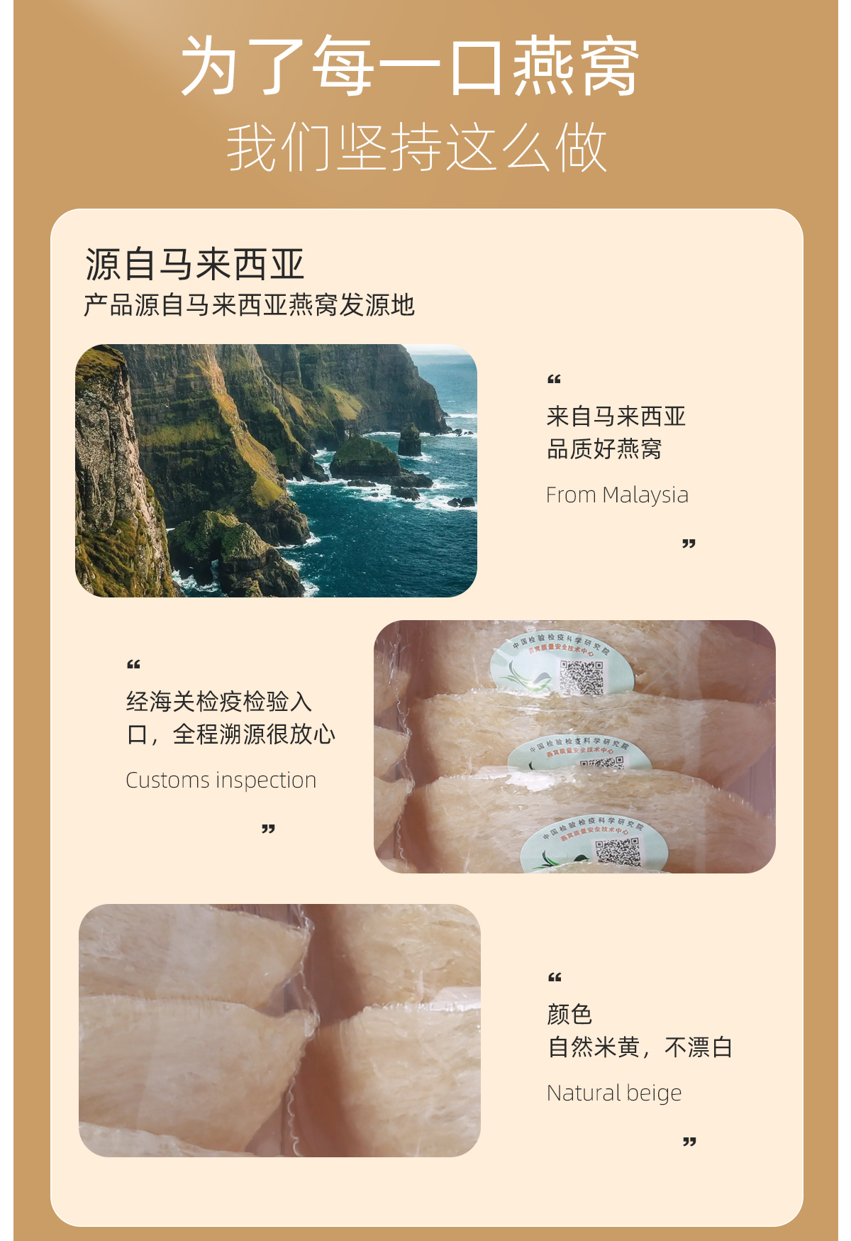 燕盏_06.jpg