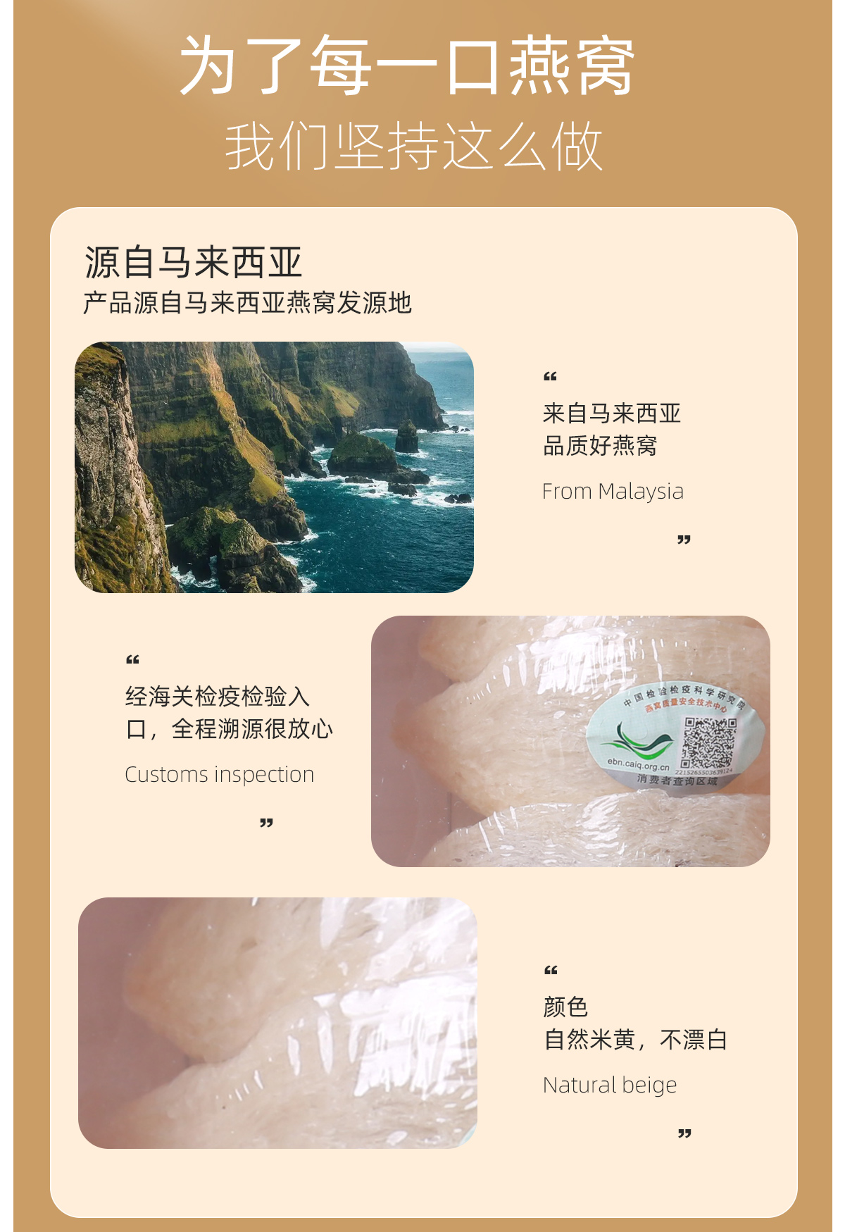 燕盏_06.jpg